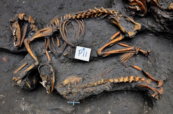 Aztec dog burial site found in Mexico City - The Washington Post